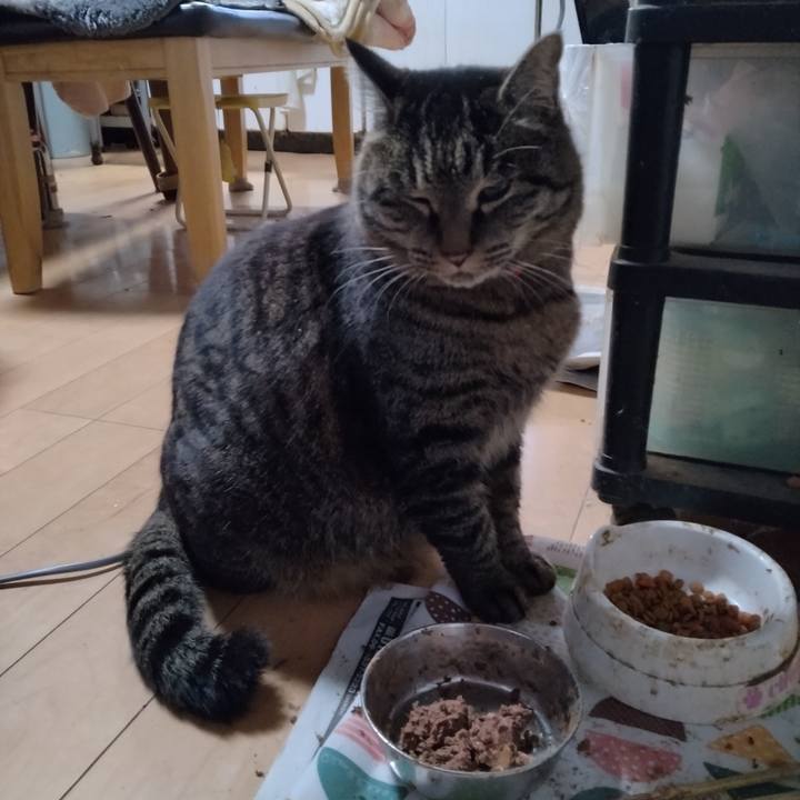 F1762bab c5c8 4e2c 9dc3 c6f5de5c51f4 1672009808467