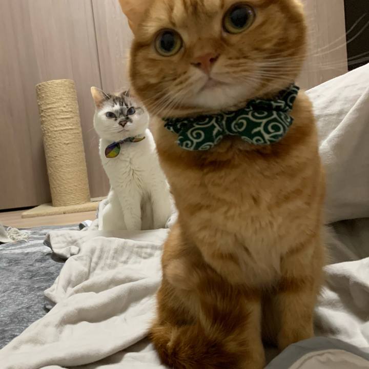 F176441c b1e4 4fad ad9d 79f876527416 1571878376648