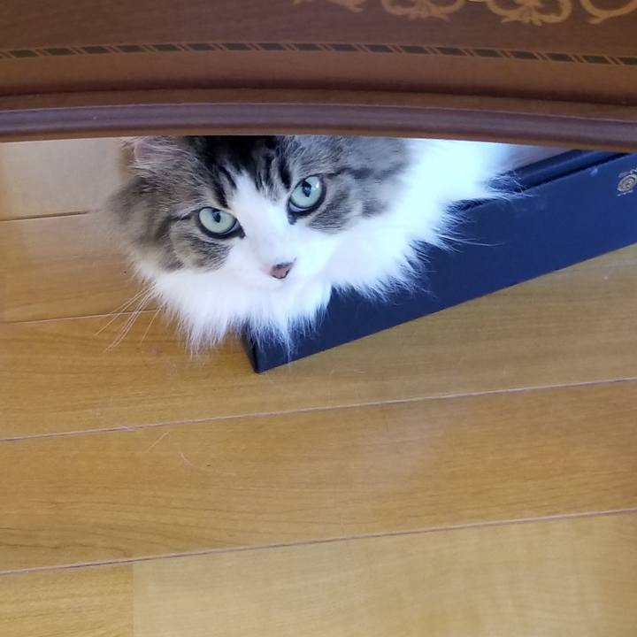 F1776493 34b8 4238 bb0d 205f22996b63 1533942645275