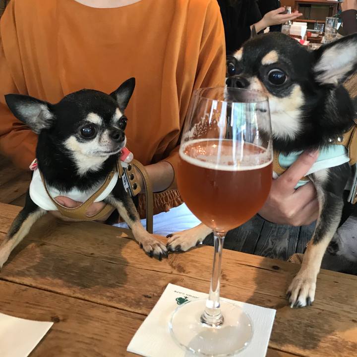 F177ac5a 025a 4d08 9162 fae2f7132523 1572690632101