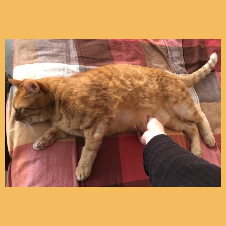 F177b740 4b12 4a1a ab98 64a862a5ec87 1676931493072