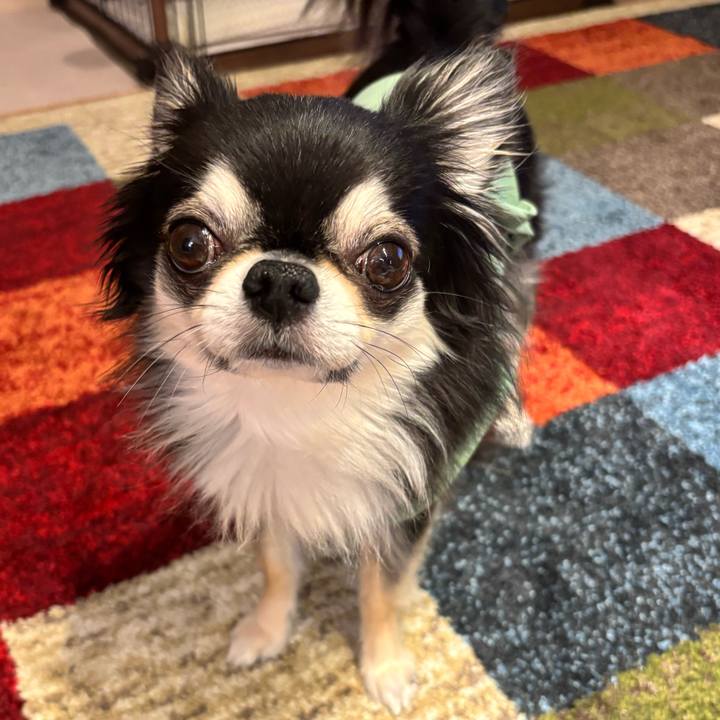 F177bed3 abf4 4914 80f2 6dfe46d8f21e 1748795685243