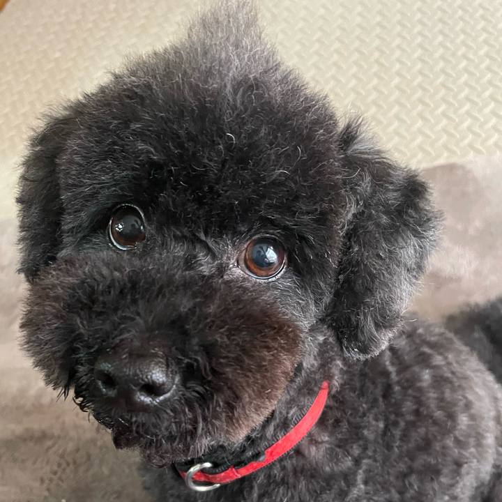 F177dacc 4b30 4be0 965c b7df5a495cb3 1714276471575