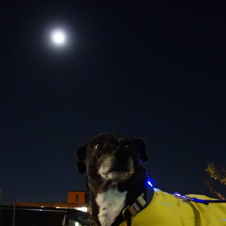 F177e81b 78c6 4c67 9f69 f3633da4852a 1739272059155