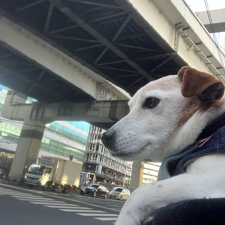 F177ea13 e2c9 4b5d becd 733b900eabb6 1767320690039