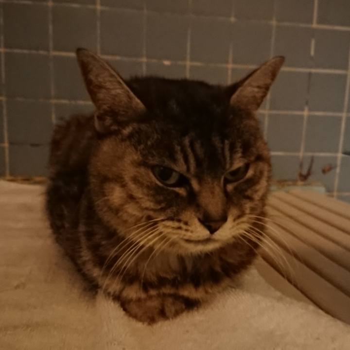 F1780349 d6ca 496a 96bb cabace4272c2 1582105995842