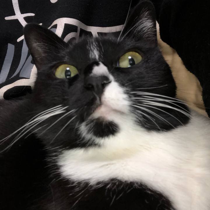 F17823ae df4f 4eab bc7a 832859137259 1548555671684