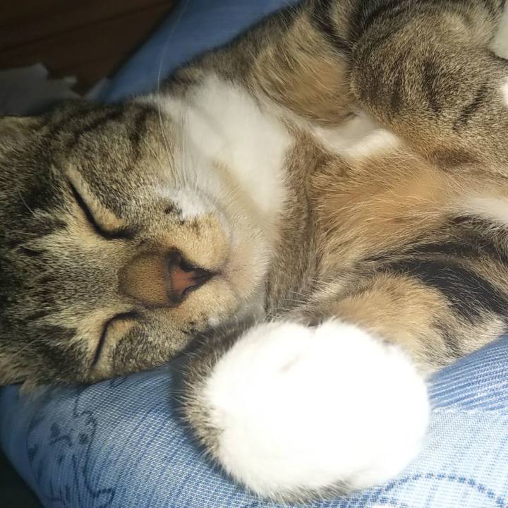 F1782bb2 764b 4b28 9c07 c6eb8ea87cde 1605282283081