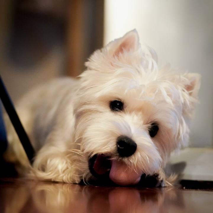 F17845d5 4ae1 4a6b afd8 0a3a01e53263 1536021617766