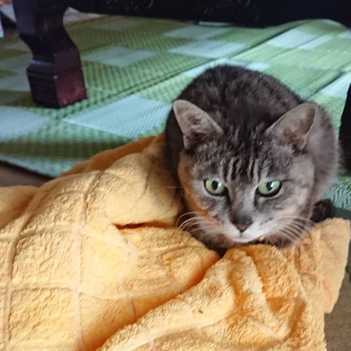 F17863eb 03cd 4ca2 af6d 8838d7968deb 1590657677777