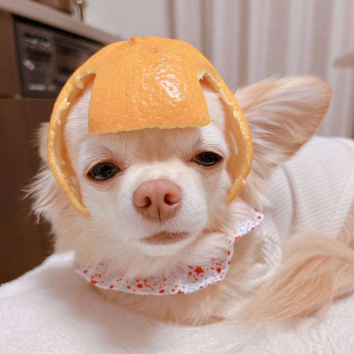 F1786483 04d3 4430 9e9e 20088053642d 1674872945285