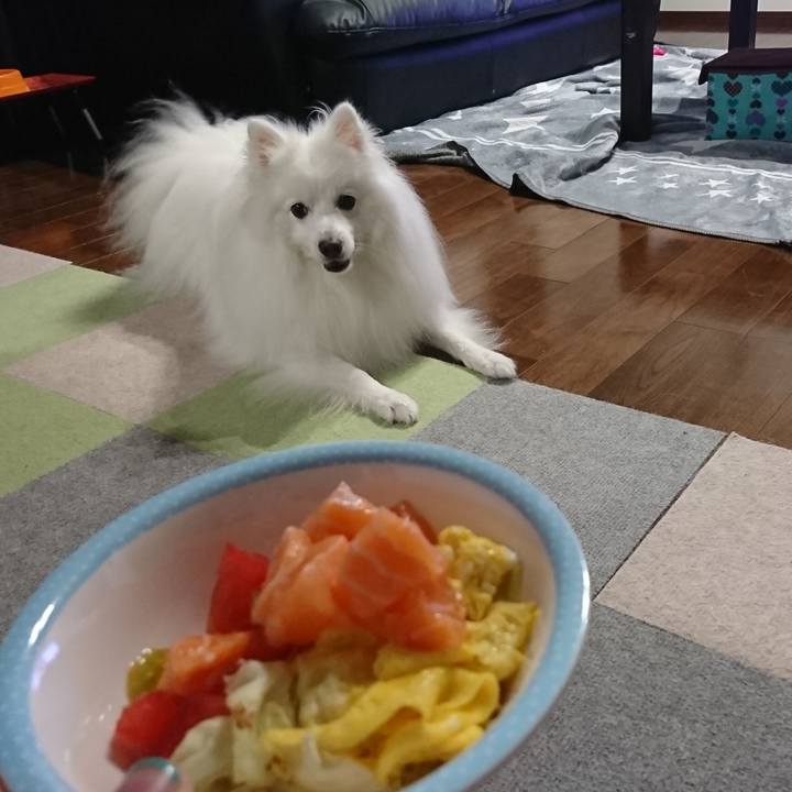 F178695d 5ad0 43ce a219 f0dc172f0907 1595825070747