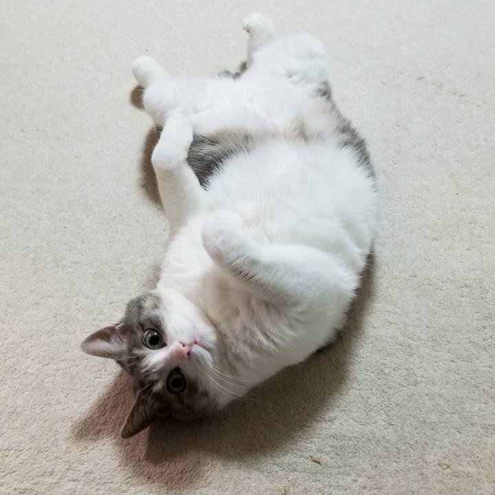 F178d907 fab2 40bd 980f 88b4f46c2fd2 1595159330213