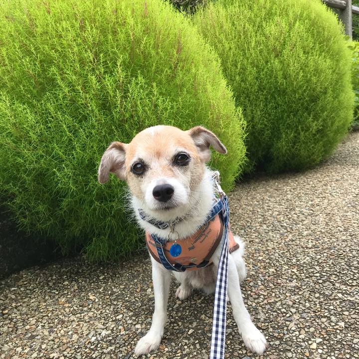 F178df70 8ff9 4143 80b5 ad8afc30f2e5 1663921556521