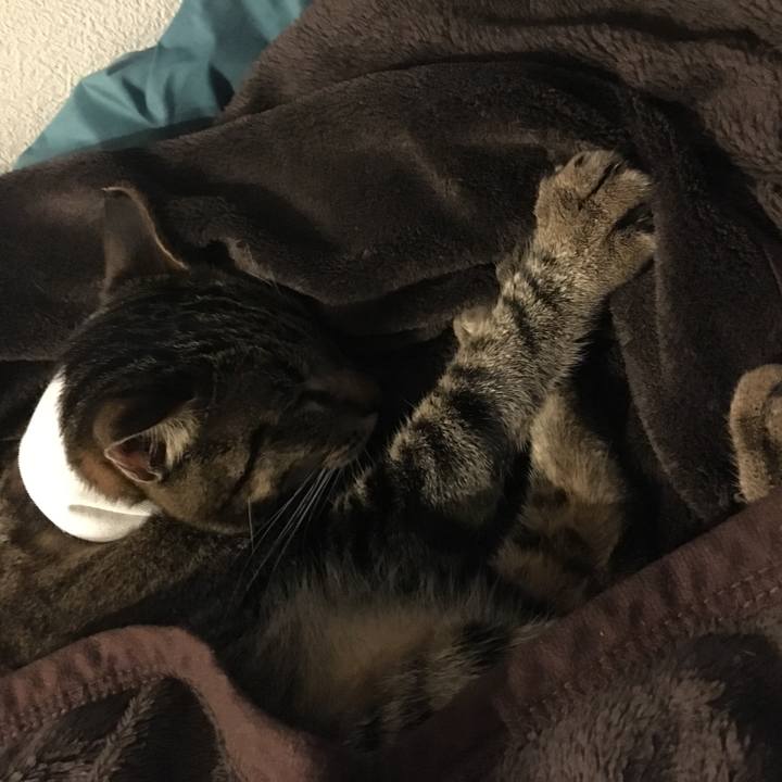 F178f810 ca15 45bf 8bee 4bfaab3506c0 1530579698935