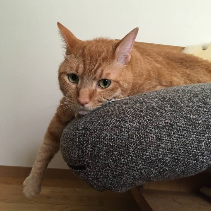 F17961e5 1048 4fee b818 c7ec2f0da52c 1596877410438