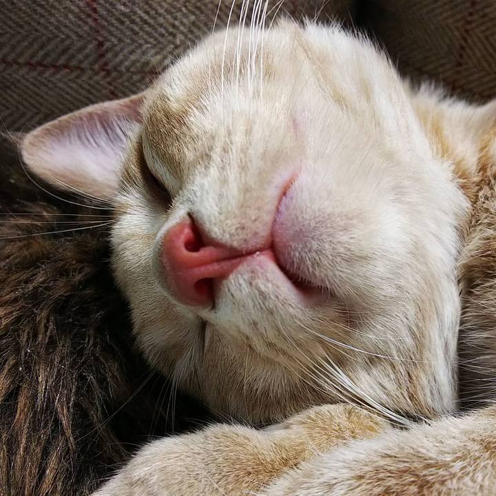 F1797a08 c0f2 4b0b ad5c c730729aeb91 1544617588615