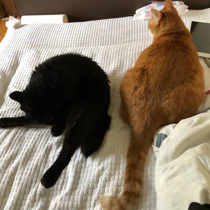 F1798166 1ccc 4447 87a9 6a86cd31dd52 1565644359720