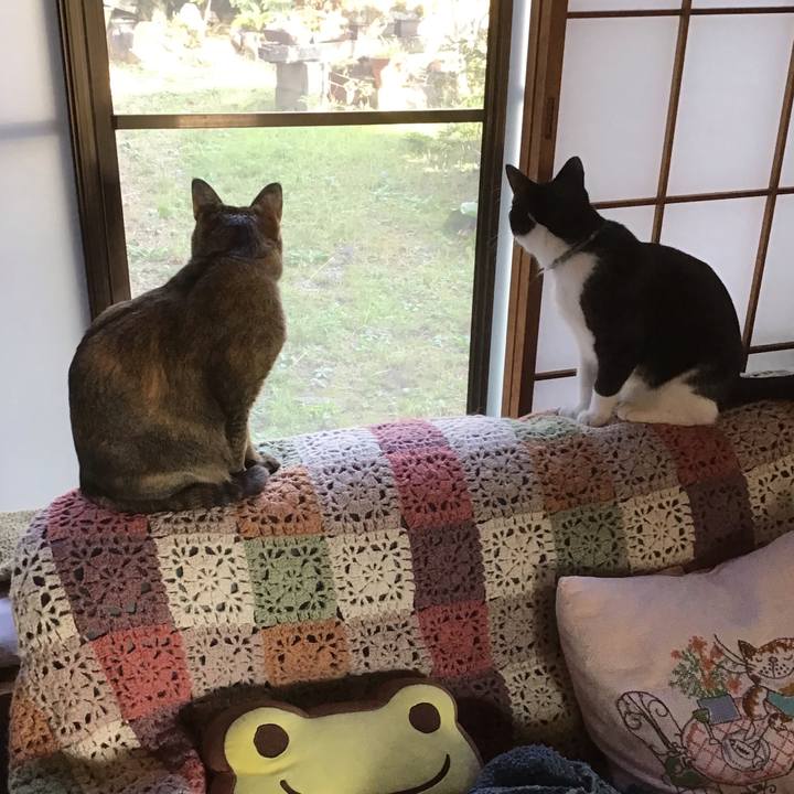 F179aedb e8f3 4791 b9fc 2c5d8a2b186f 1635574618678