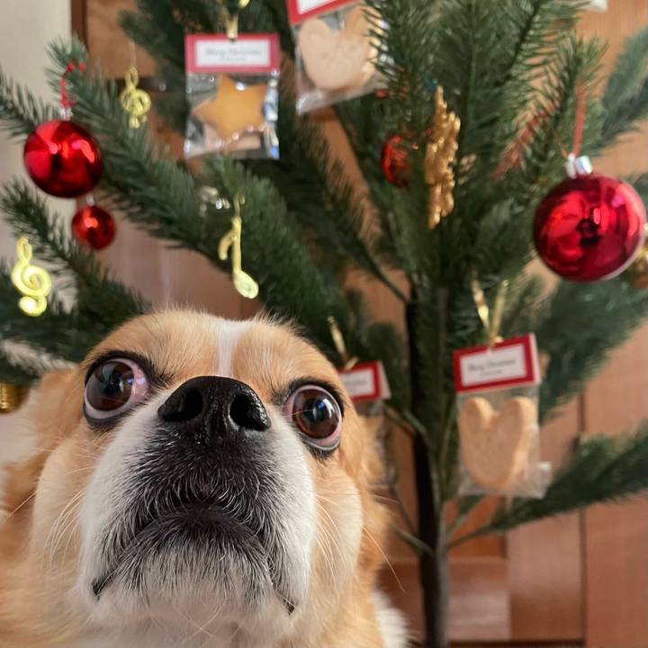 F17a2313 6154 41f4 b89e 0c7d8102dfe9 1766107204380