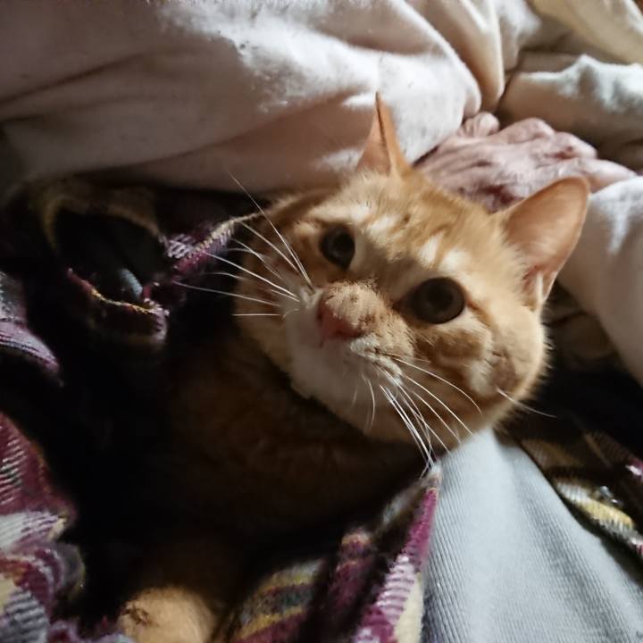 F17a8e28 1db8 4a3b aacb 9c331874430d 1641761699086