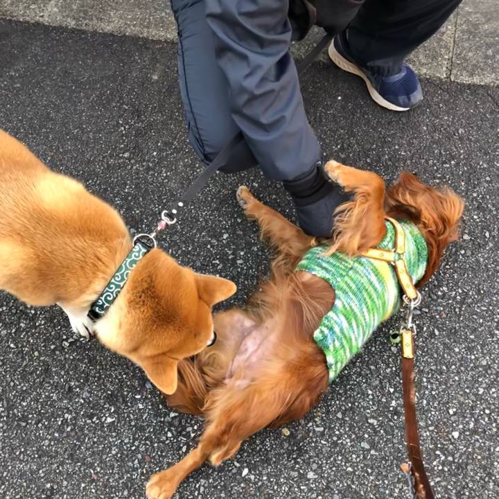 F17aa178 a6e9 419a b3f1 d641172deca7 1609034001214