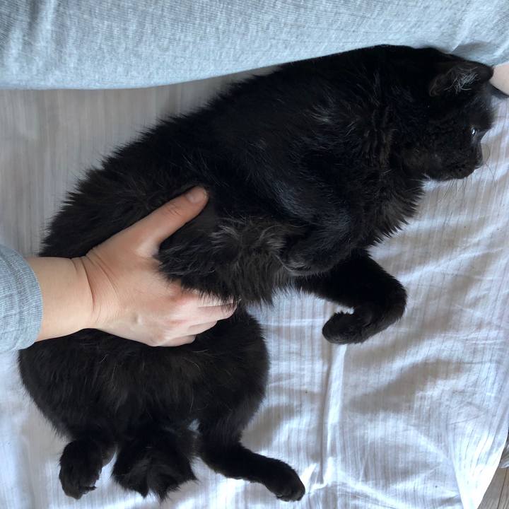 F17aa33f 9cc9 430b b461 4dc18a57c390 1584245825486