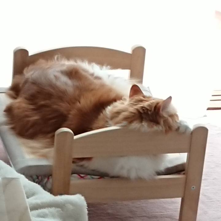 F17ab906 a87f 4828 ae71 4dcc5976c21f 1560348938830