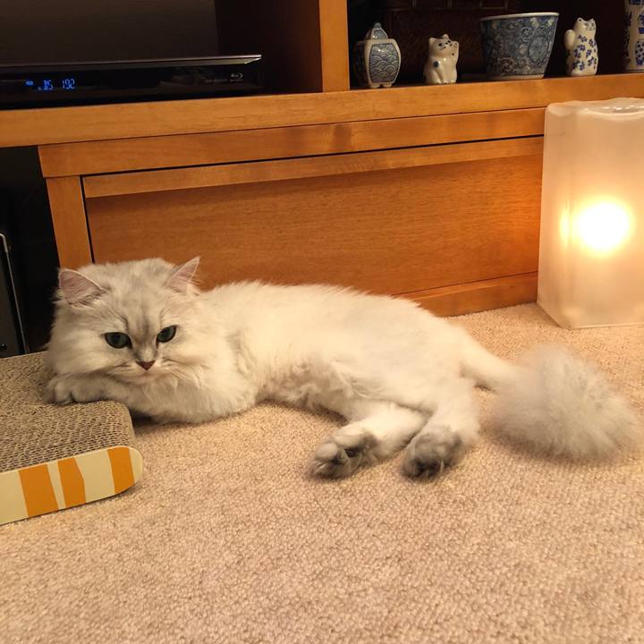 F17aecbb 3406 4933 9857 f4be30bd92ad 1528200733935