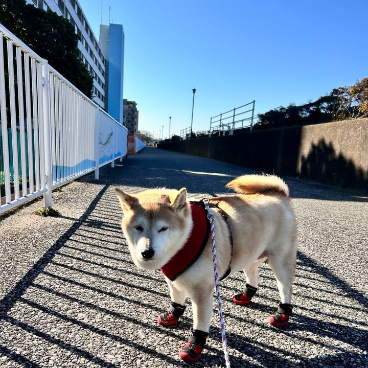 F17b044b 0714 4cee b8ce 34968296db76 1734243469625