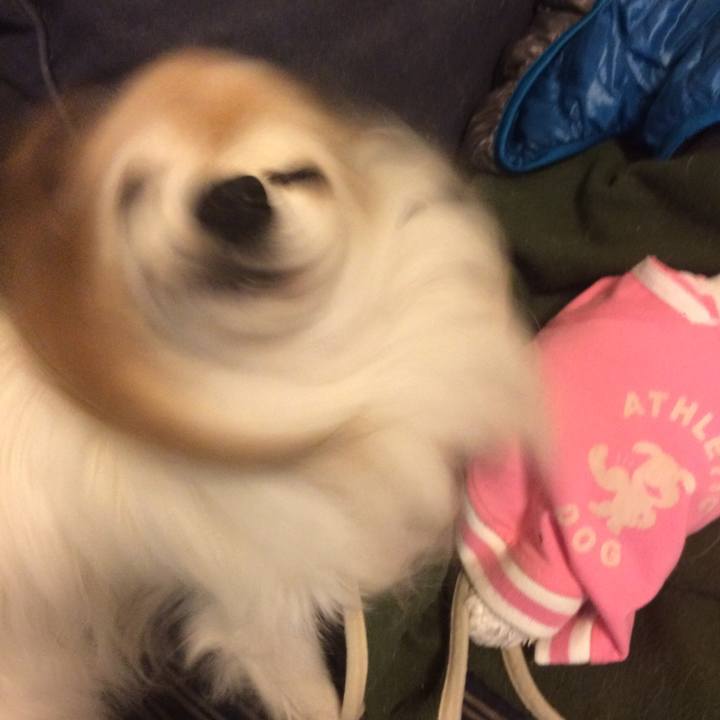 F17b329c 2d48 40f1 94ed a08cee1d74d5 1525662613629