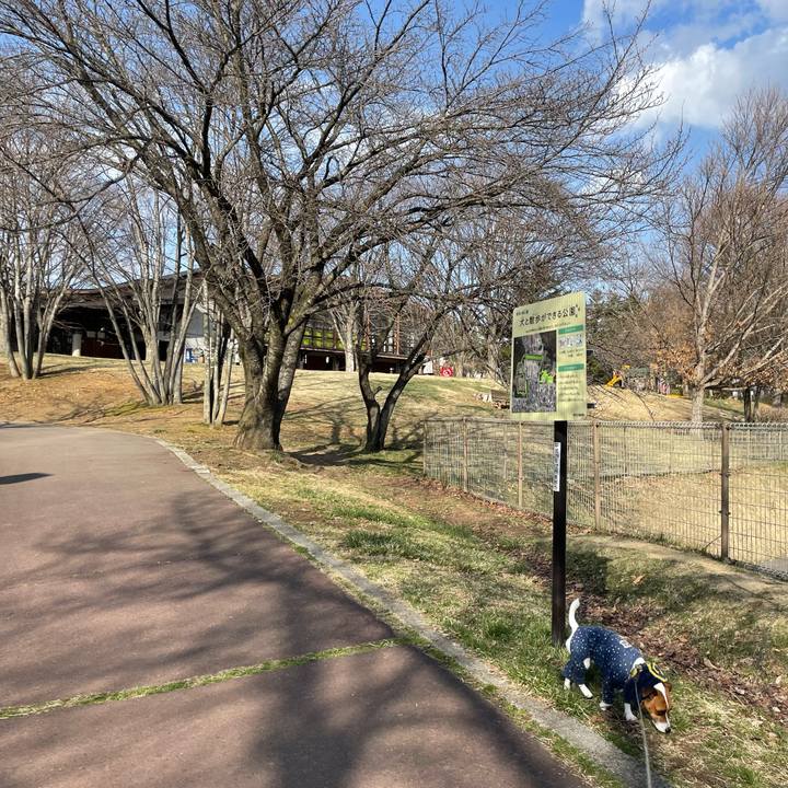 F17b4f6f 6adb 4003 9530 01d22f4b2356 1648112397824