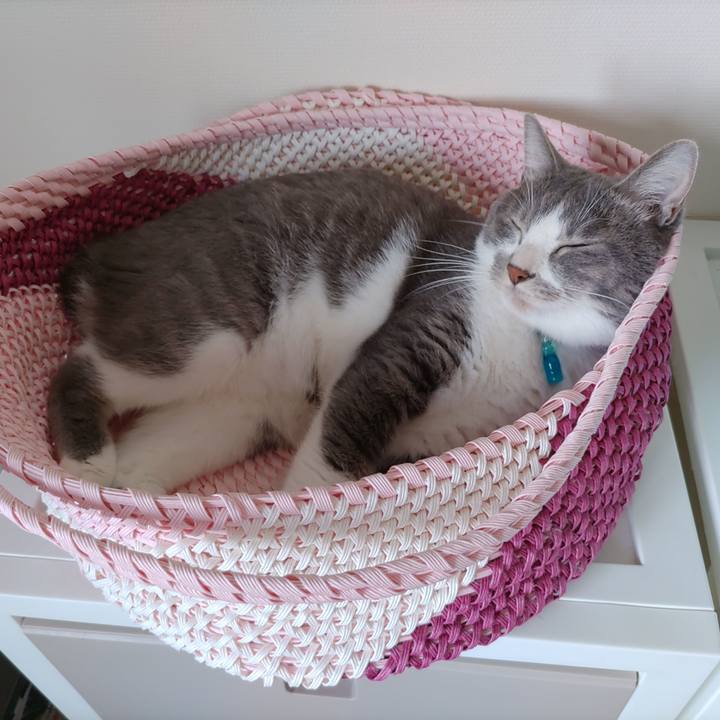 F17b8280 d7b7 4d46 9f40 93c154a9eb32 1658018057925