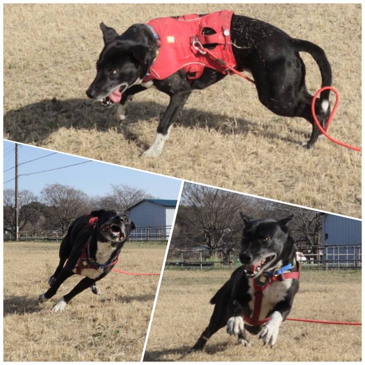 F17b9432 9ced 4b21 88f6 2282cfa5e698 1678495734733