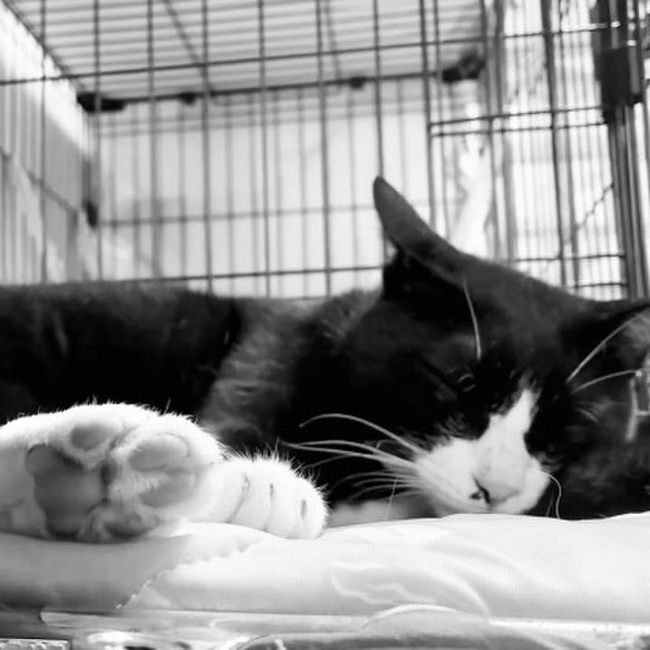 F17bcb71 4658 4d25 a14e d3c030f462a2 1753013258283