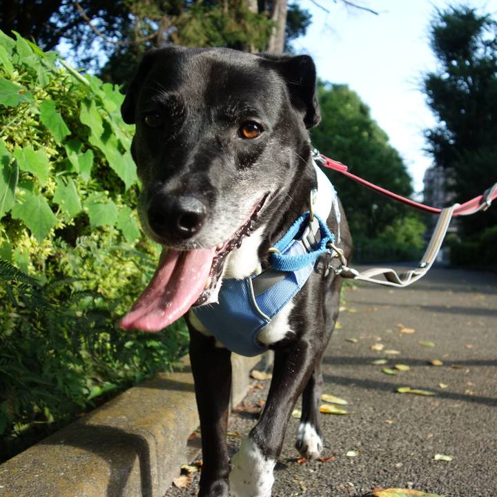 F17beb79 0a52 4e31 9359 b9ab1241e538 1722816823266