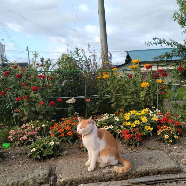 F17bf7bd 6bba 4fe7 804a 8cb3811d1cc9 1752270470528