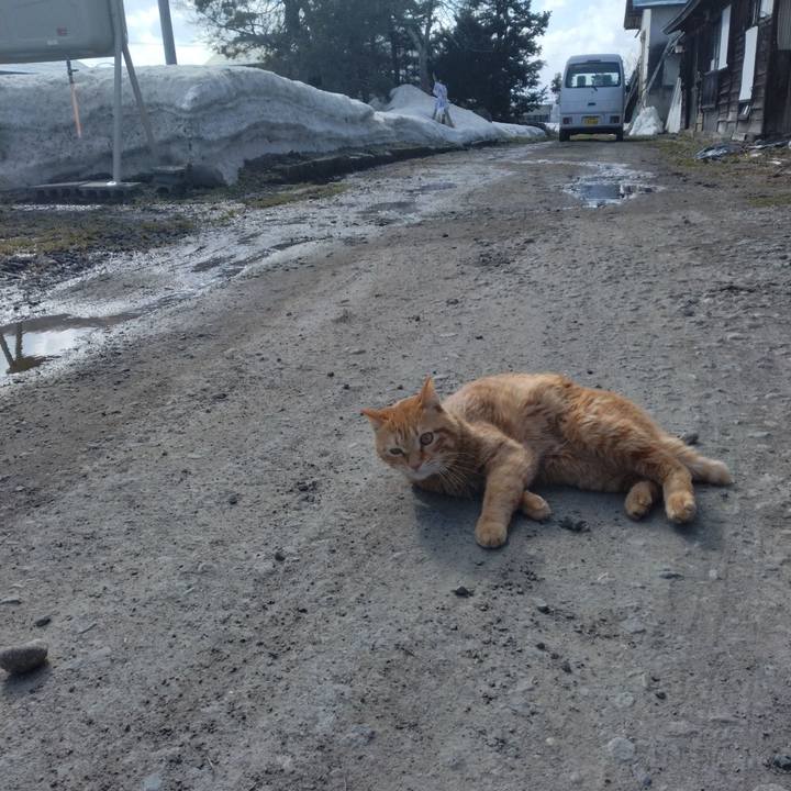 F17c00c3 21ee 49d1 8f5f 635667582c6c 1677910613212