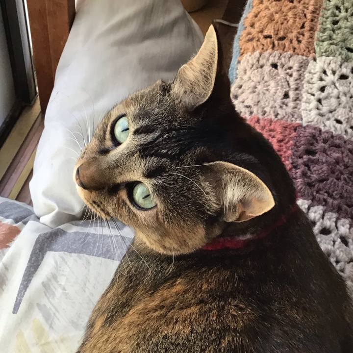 F17c0f0b 1868 482a 83e1 13814074bd40 1608422765557