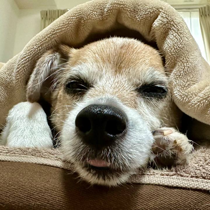 F17c3389 cc34 44d8 a28f 34f46090cfd0 1673913016105