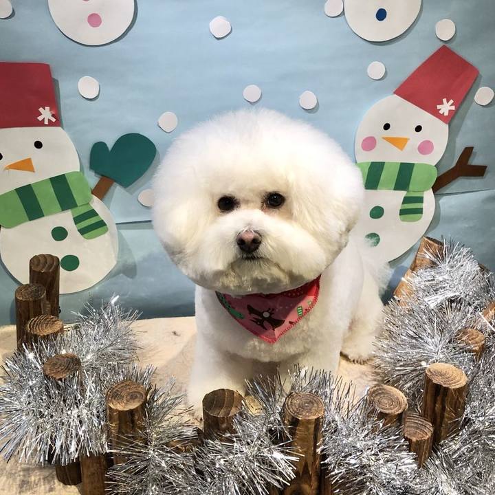 F17c54f6 5dd6 4e4e b597 431029bbcd99 1643255068190