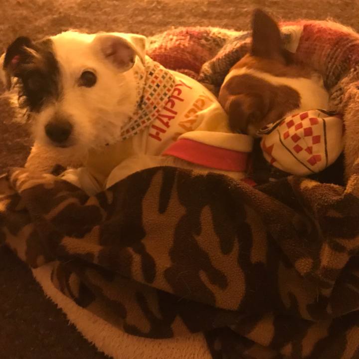 F17c62bd f500 4019 8da6 88649a8993e0 1512738764206