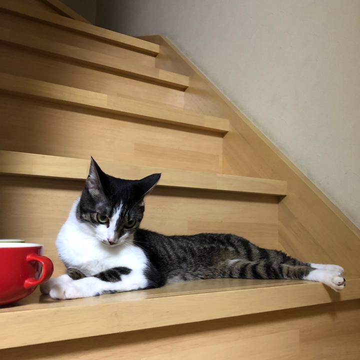 F17c70fa 1ffc 4490 a620 2ad15d3546f2 1564932090815