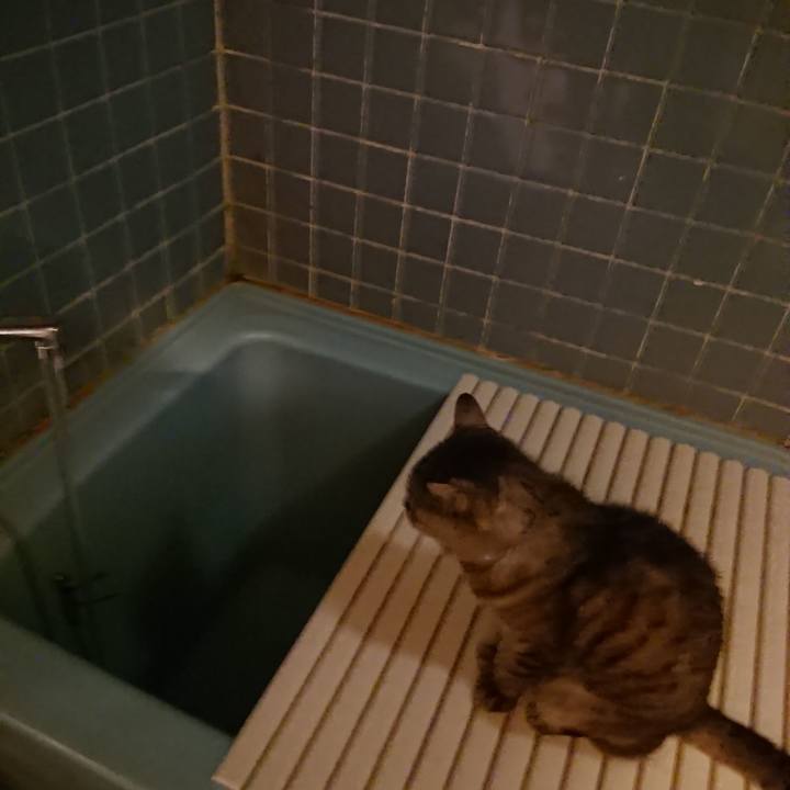 F17cd375 d5cf 4d0f 8f81 897a772d0b9d 1569489680149