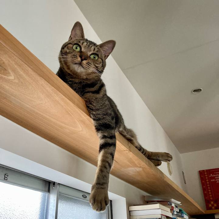 F17d3de9 947e 403c 864a 8c8dbfec15b8 1695007708139