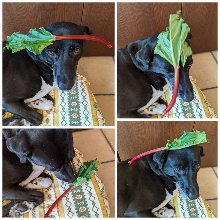 F17d647d 2d18 4b9a 8ef8 e083716c0dd5 1695608456962