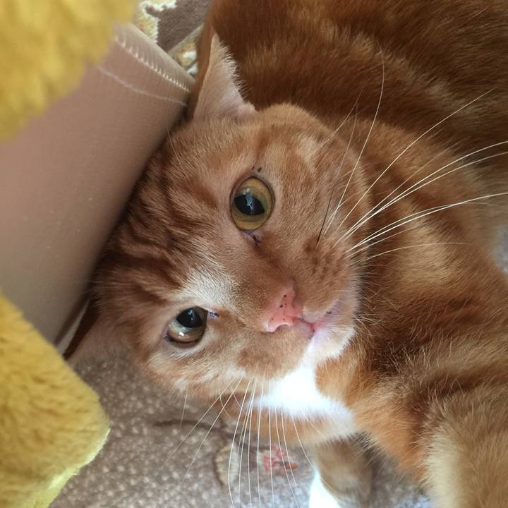 F17d78f3 0637 46da acaa 8678c3b053be 1575165667962