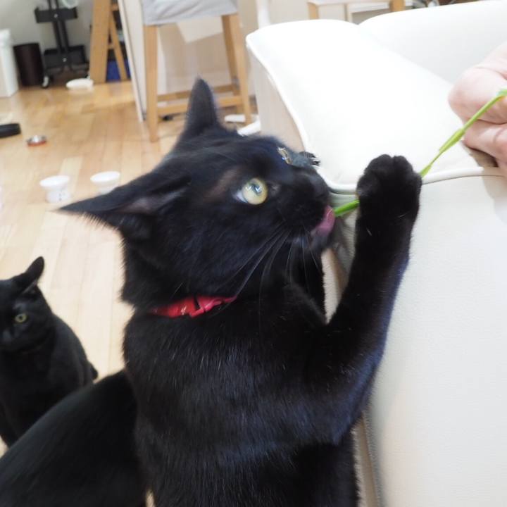 F17d93df 708f 4530 b337 beb8e56863c2 1541115028253