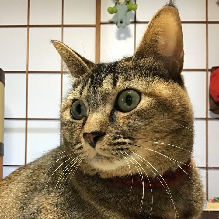 F17da581 45a8 4d2d 9072 ce0e0a6d4484 1640214810957