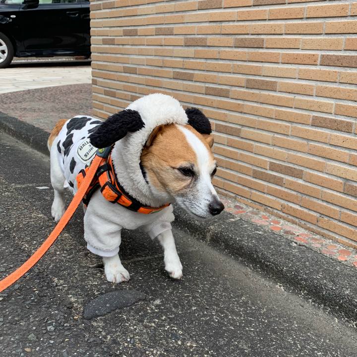 F17df783 c09c 48e4 b45f 9f8c4dccccac 1646182184777